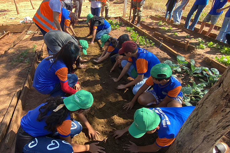 Alunos de escola municipal de Água Clara revitalizam horta