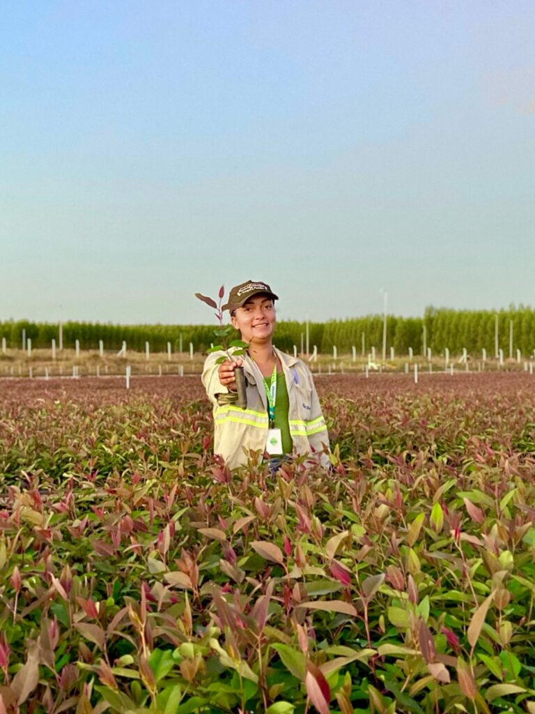 Última semana para se inscrever no Programa de Trainee 2026 da Bracell e MS Florestal